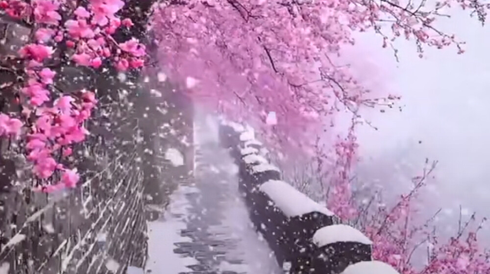 Азиатское фэнтези