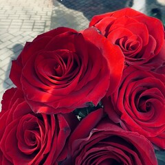 Хочу читать