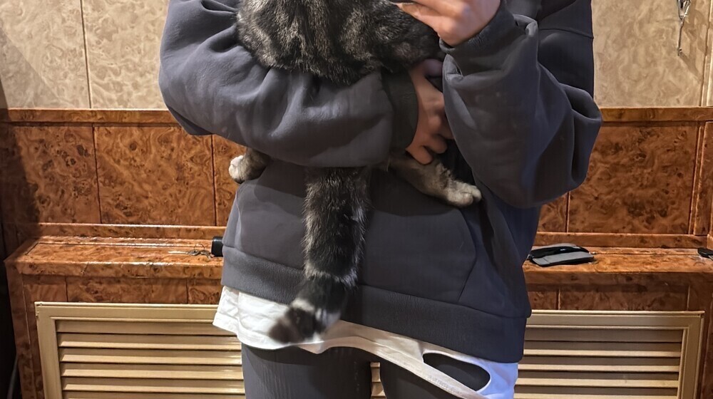 саморазвие, самокопание