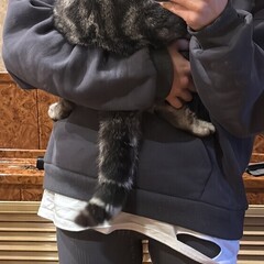 саморазвие, самокопание