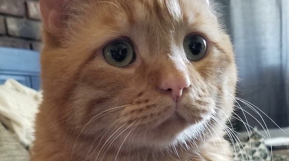 Для чайников 