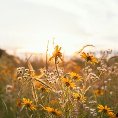 Когда закрыта последняя задача и пора потрогать траву