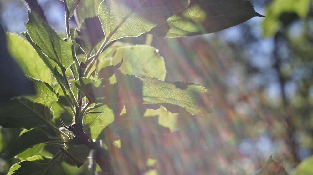Управление персоналом