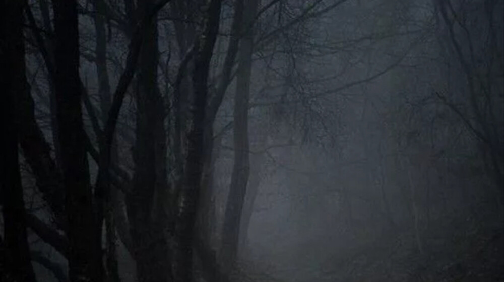 Грановские 