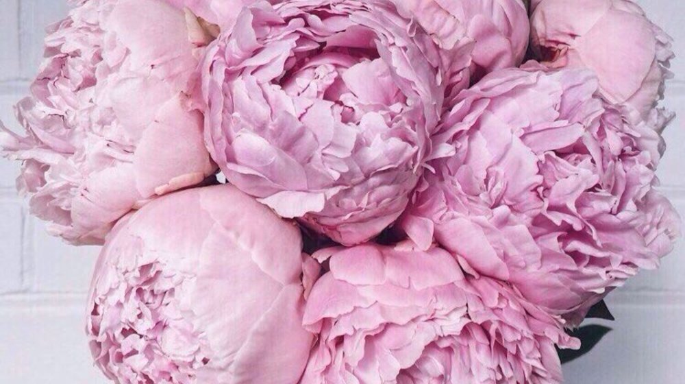  саморазвитие