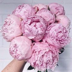  саморазвитие