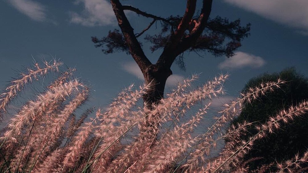 Худож. Литература📖