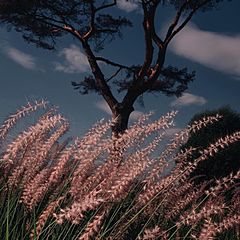 Худож. Литература📖