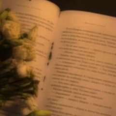 Летние книги 