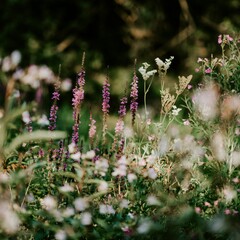 Весенние перемены