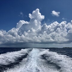 Хочу прочесть