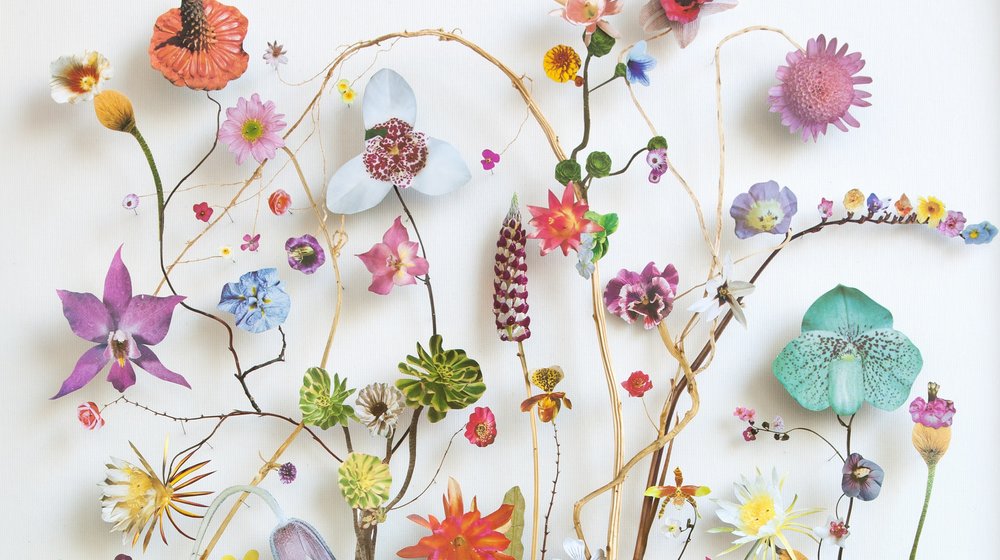 Выбор редакции Seasons