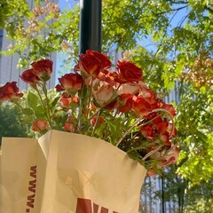 Издательство RIDERO