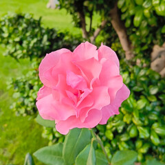 Р͜͡и͜͡с͜͡о͜͡в͜͡а͜͡н͜͡и͜͡е͜͡