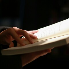 Бревис от Васта