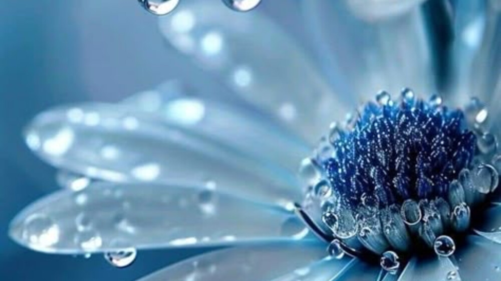 Исцеление тела и души