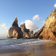 Книги 2015 года