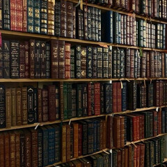 прочитанные 
книги за 25г