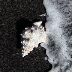 Дизай и искусство 