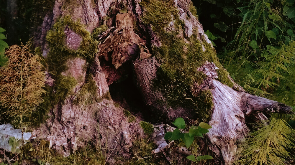 Фольклор 🍂