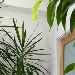 повседневность