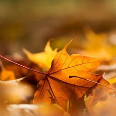 Книжный клуб "Строка"