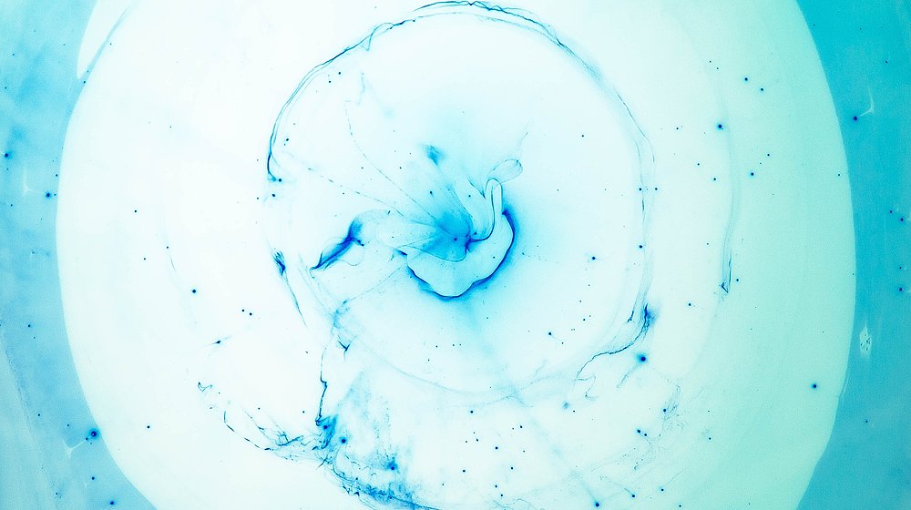 Длинный список премии «Просветитель» — 2019