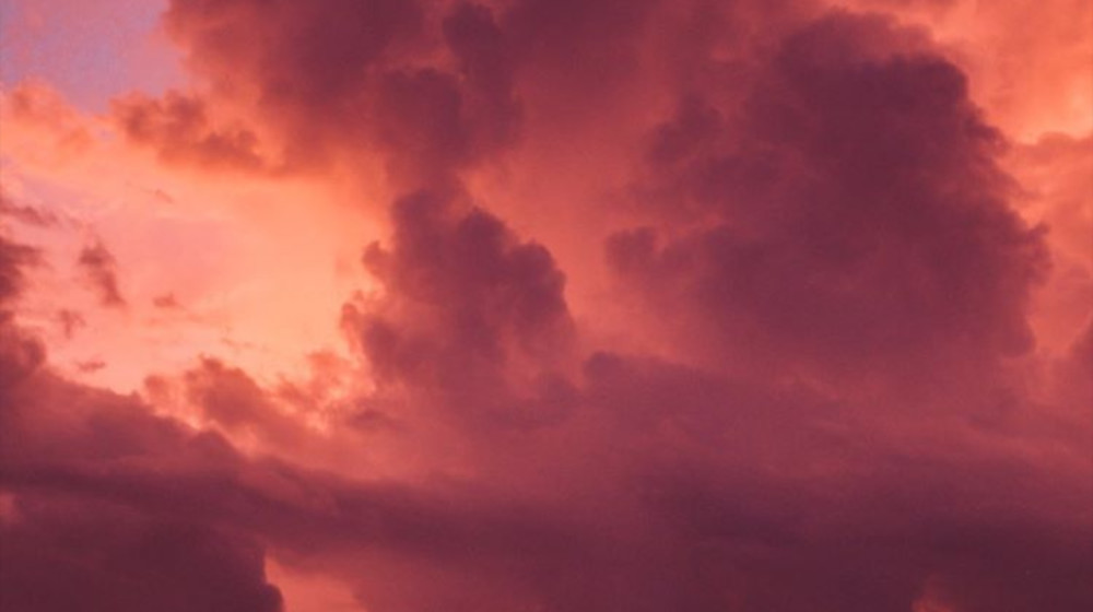 "Алая зима" Аннетт Мари