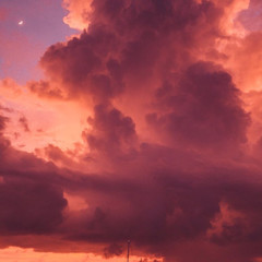 "Алая зима" Аннетт Мари