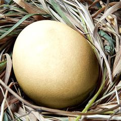 Как мы строим лучший бизнес-инкубатор страны