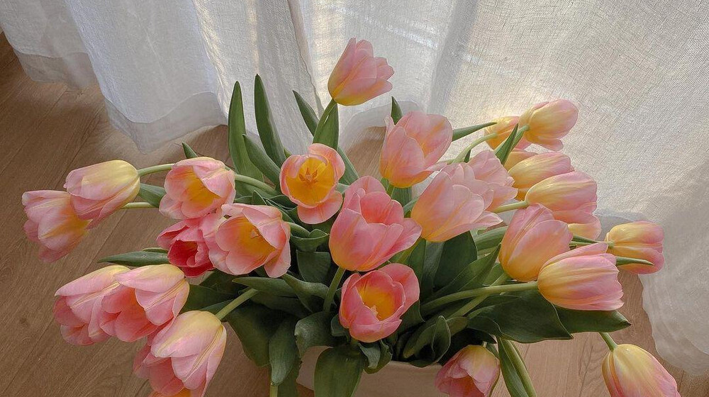 Бокс "Реальные перемены".