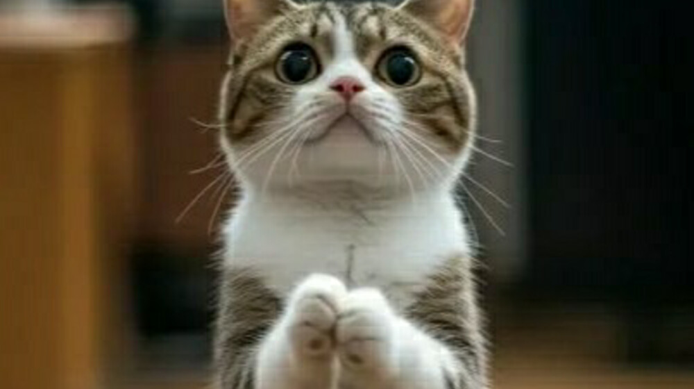 ОЧЕНЬ ЖДУ ОЗВУЧКУ