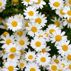 Ммм... Психология