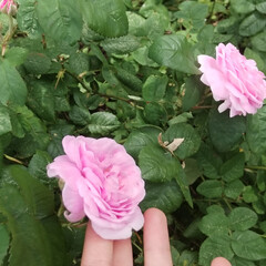 Нужно прочитать!