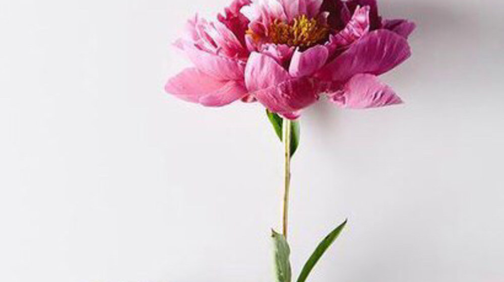 Минимализм 