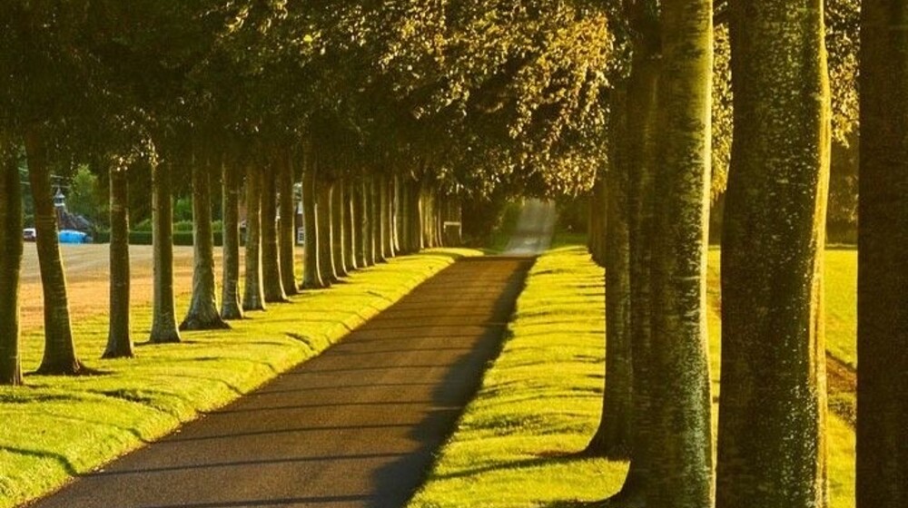 Psychology and personal growth📚