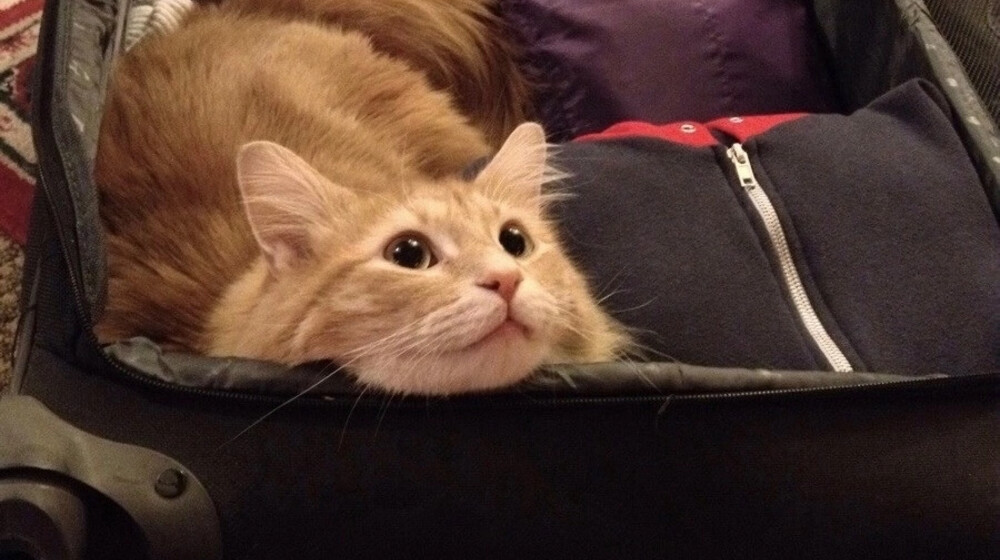 2025 прочитанное