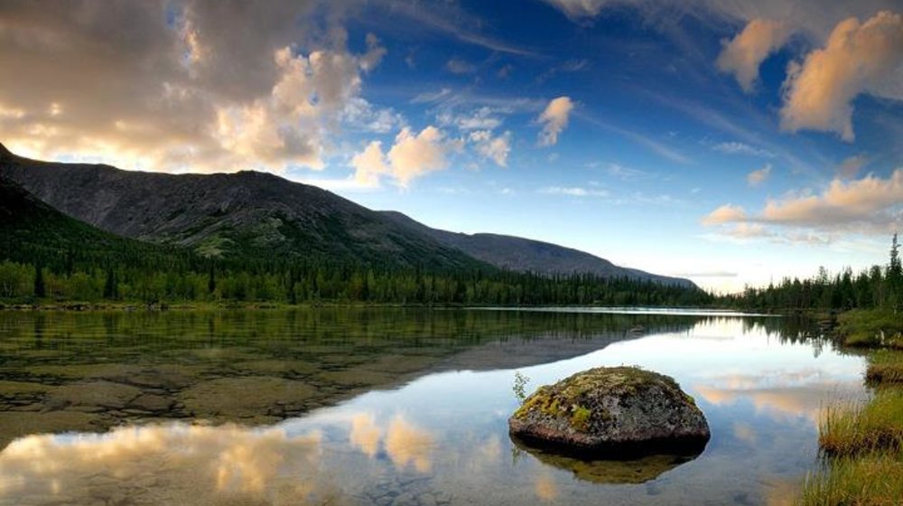Туризм и выживание в диких условиях