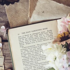 Сентиментальная проза