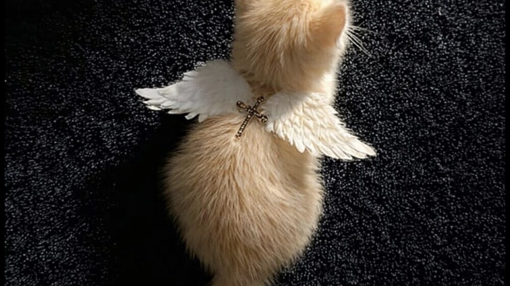 Психология