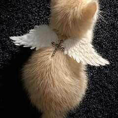 Психология