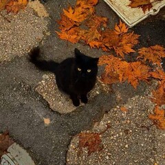 Осень🍁🎑🥮☕️🍂