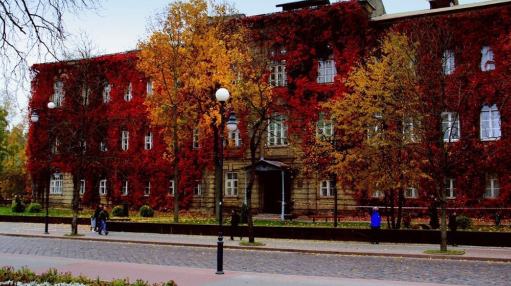 Университет 