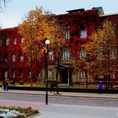 Университет 