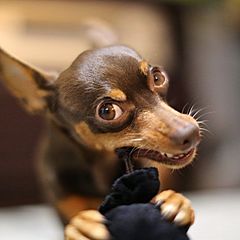 ЛИЧНЫЙ БРЕНД