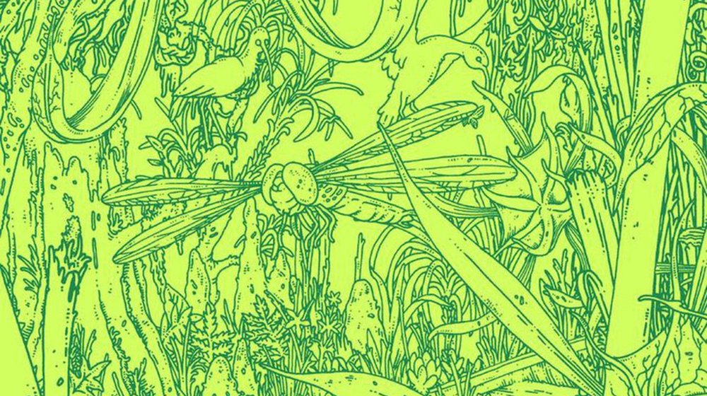 Трилогия «Южного предела»