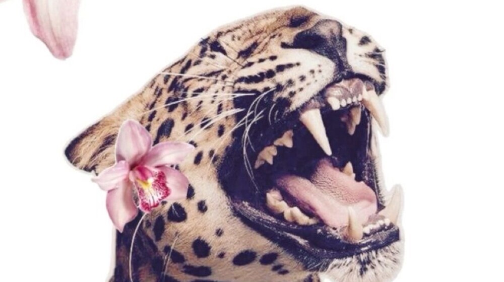 🫂Камилла🫶🏻