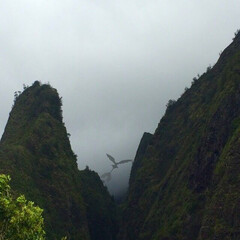 Deutschland und Scandinavien