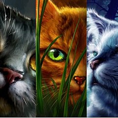 Коты воители