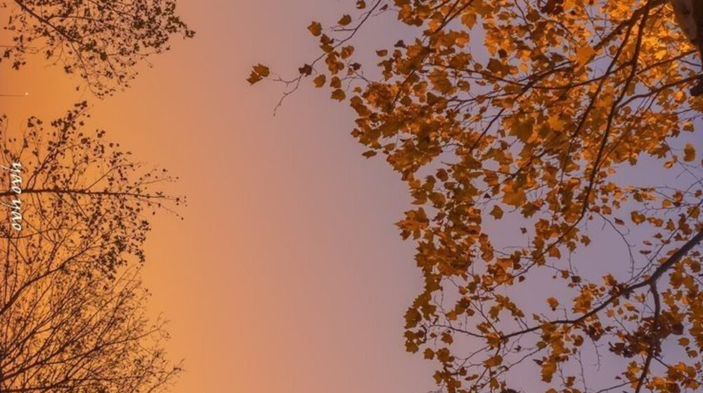 Сентябрь 2025